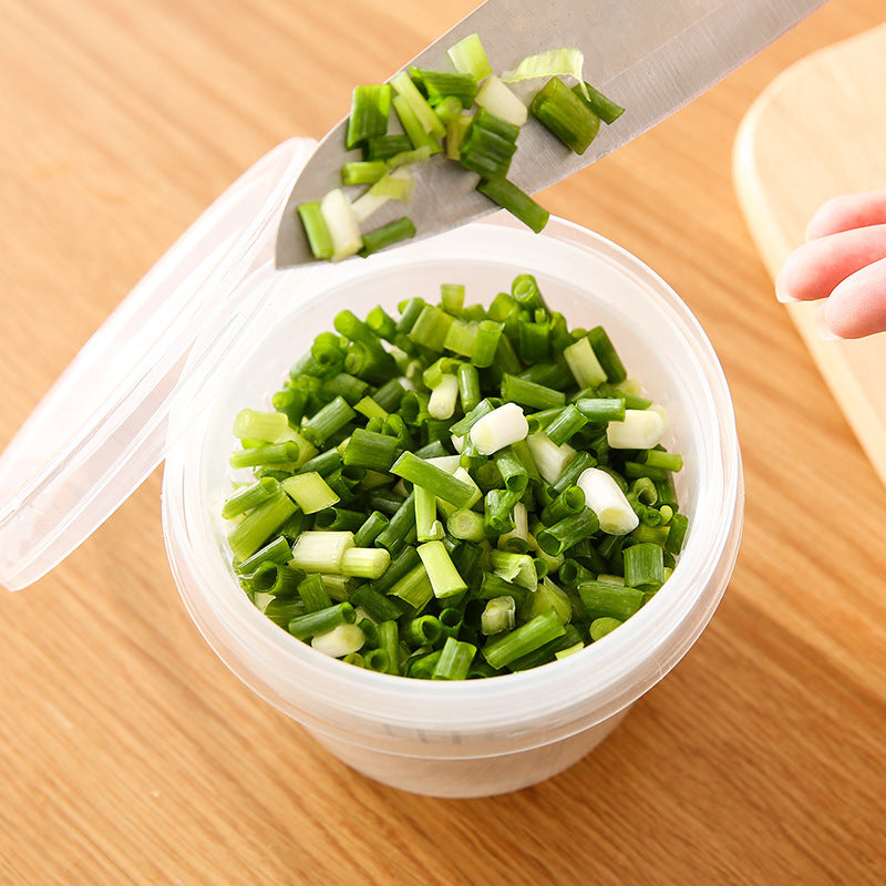 Kitchen Drain Storage Box with Strainer & Lid